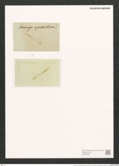 Schizonema myxacanthum Menegh. (de-Toni-Nr.: Genus 20, Species 1180) Zeichnungen Sammlung Grunow (NHMW-BOT-W0369399)